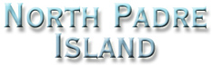 North Padre Island Texas Gulf Coast vacation rentals