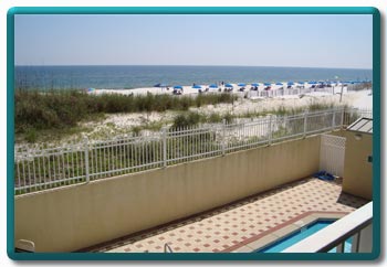 Turtle Walk Okaloosa Island Florida Turtle Walk Okaloosa Island Florida