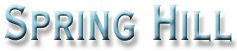 Spring Hill Weeki Wachee Hernando Beach Pine Island Florida Gulf Coast vacation rentals Gulf front homes holiday cottages 